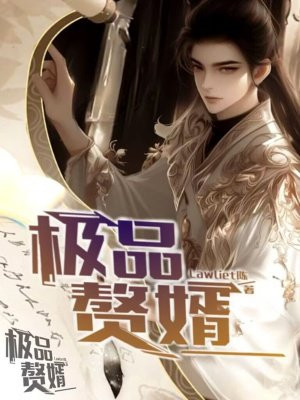 爱情公寓之吕小布的回忆录